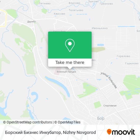 Борский Бизнес Инкубатор map