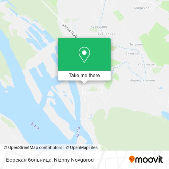 Борская больница map