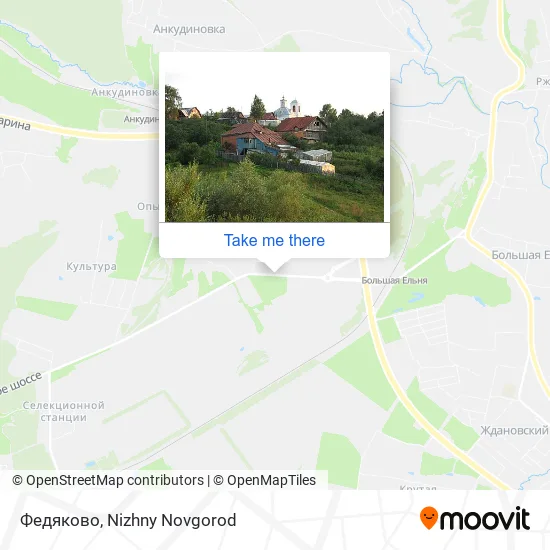 Федяково map