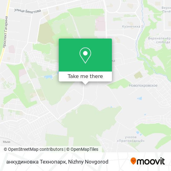 анкудиновка Технопарк map