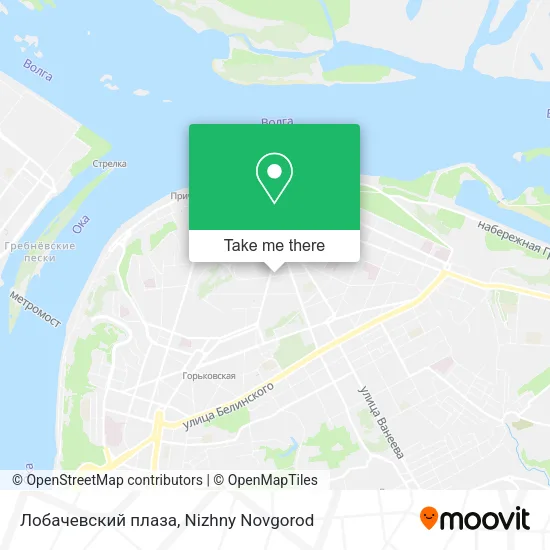 Лобачевский плаза map