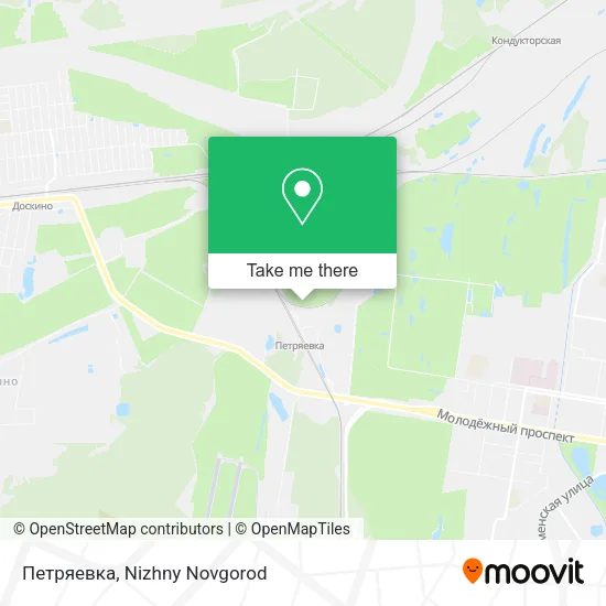 Петряевка map