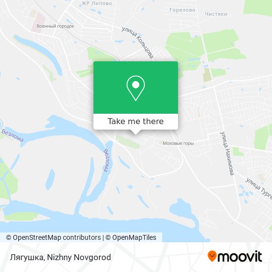 Лягушка map