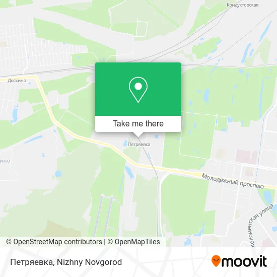 Петряевка map