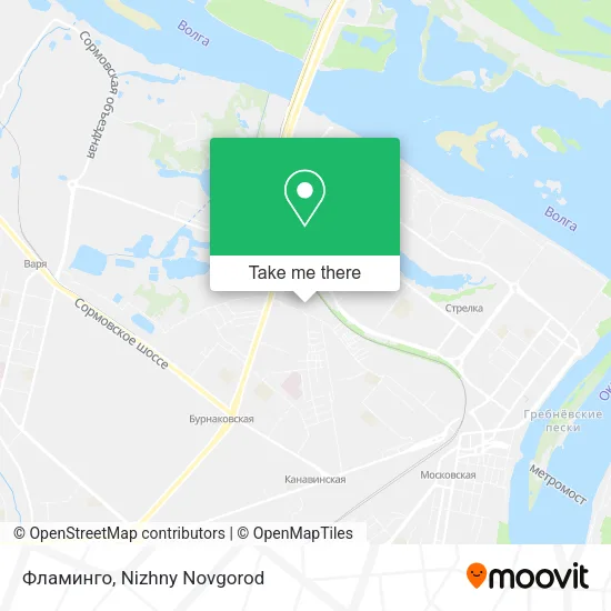 Фламинго map