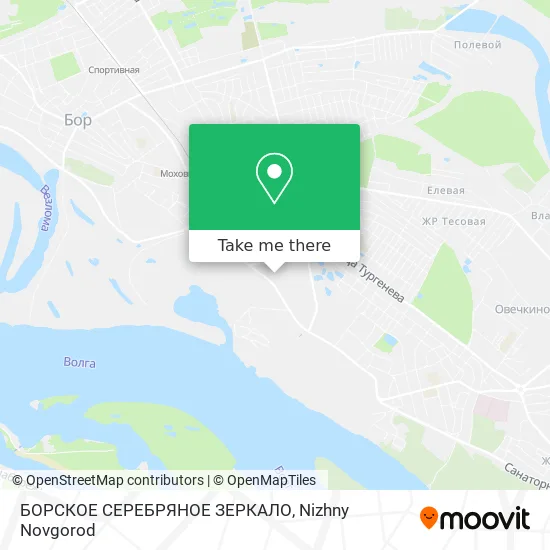 БОРСКОЕ СЕРЕБРЯНОЕ ЗЕРКАЛО map