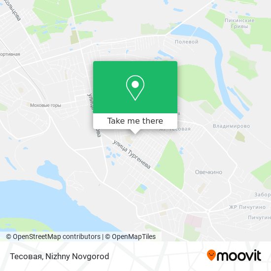 Тесовая map