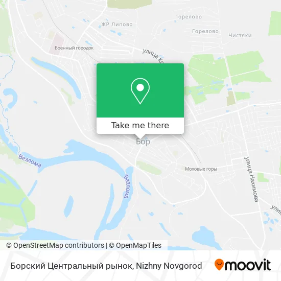 Борский Центральный рынок map