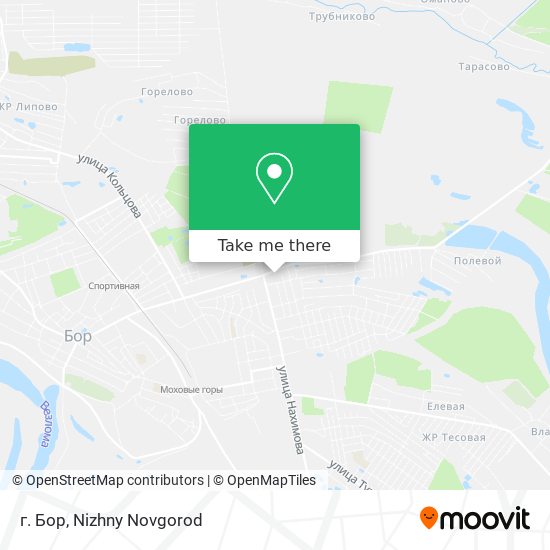 г. Бор map