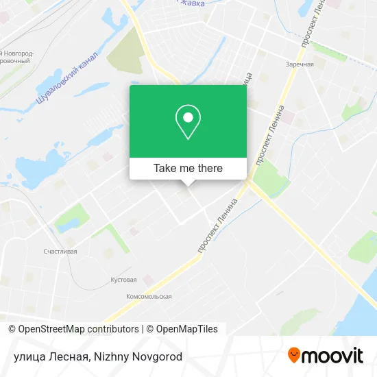 улица Лесная map