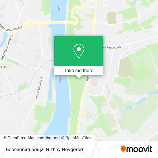 Берёзовая роща map