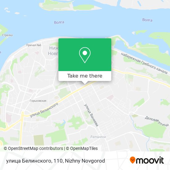 улица Белинского, 110 map