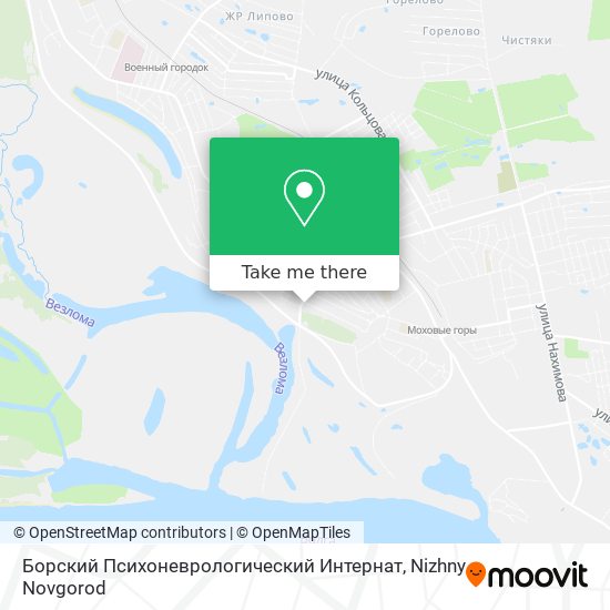 Борский Психоневрологический Интернат map