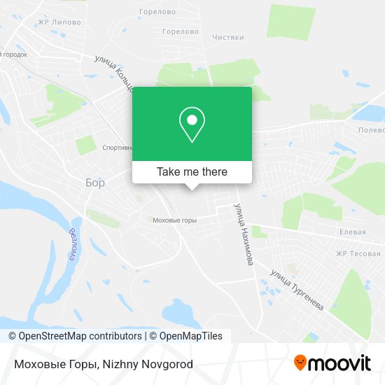 Моховые Горы map