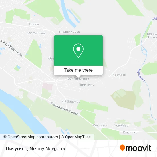 Пичугино map