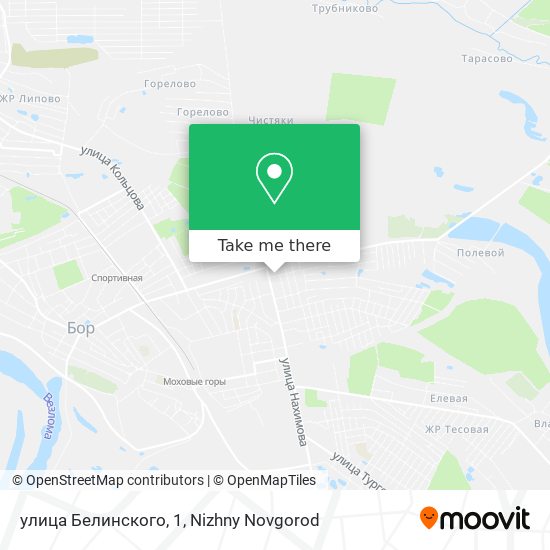 улица Белинского, 1 map