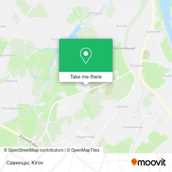 Савинцы map