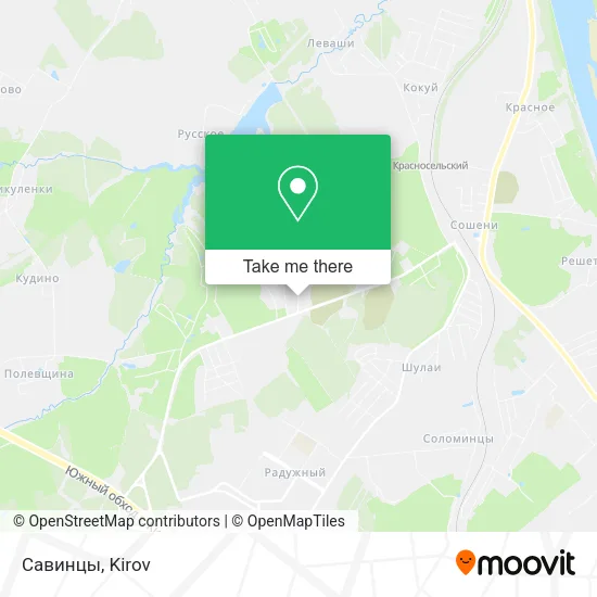 Савинцы map
