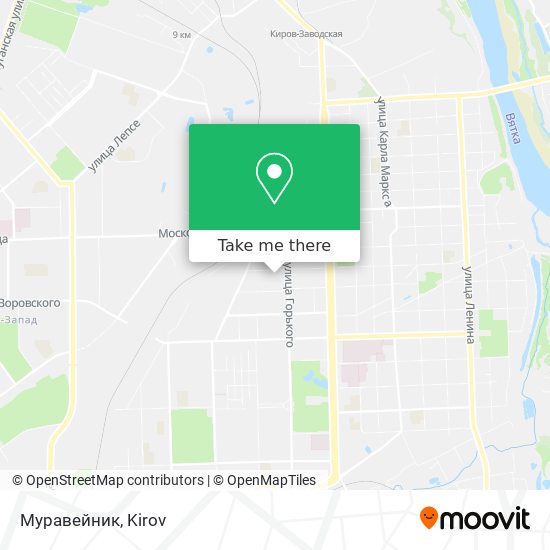 Муравейник map