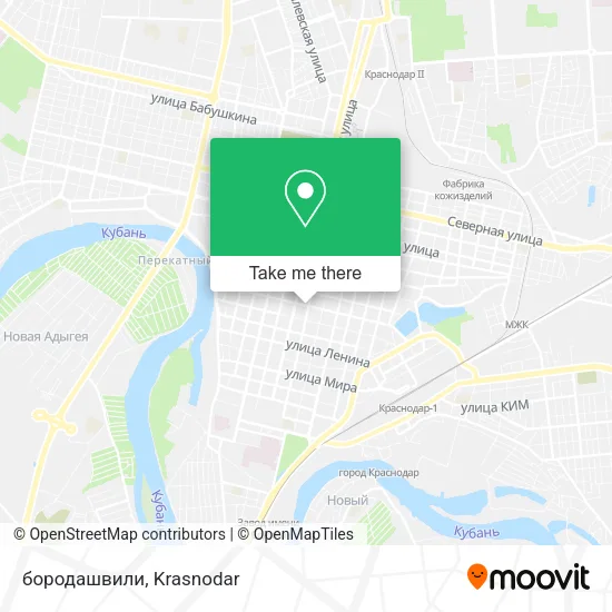 бородашвили map