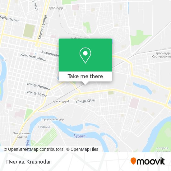 Пчелка map