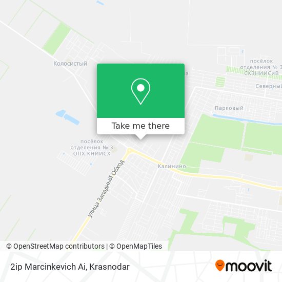 2ip Marcinkevich Ai map