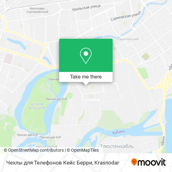 Чехлы для Телефонов Кейс Берри map