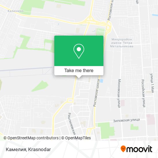 Камелия map
