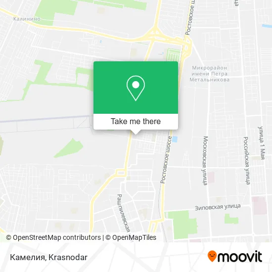 Камелия map