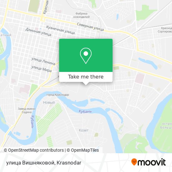 улица Вишняковой map