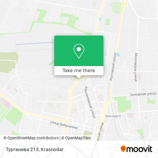 Тургенева 213 map