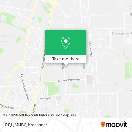 ЛДЦ МИБС map