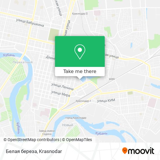 Белая береза map