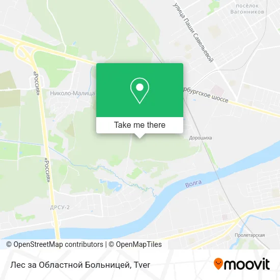 Лес за  Областной Больницей map