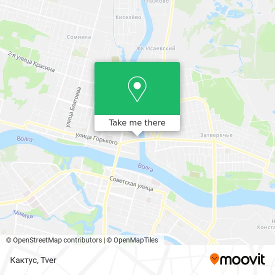 Кактус map