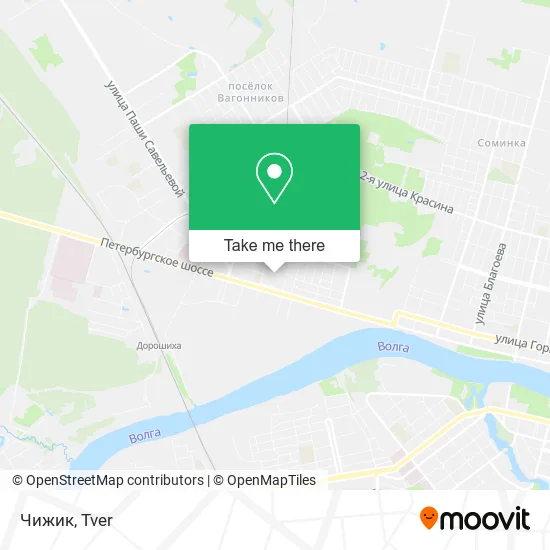 Чижик map