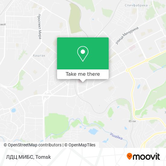 ЛДЦ МИБС map