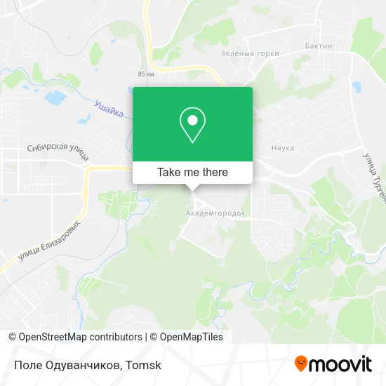 Поле Одуванчиков map