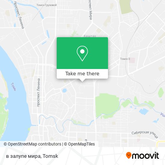 в залупе мира map