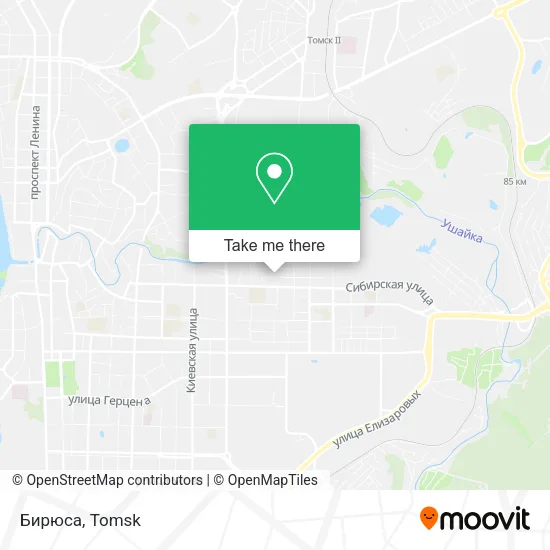 Бирюса map