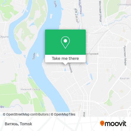Витязь map