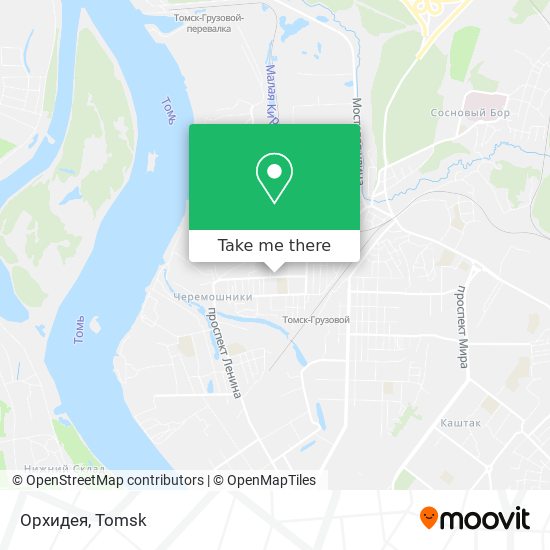 Орхидея map