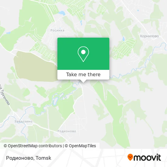 Родионово map