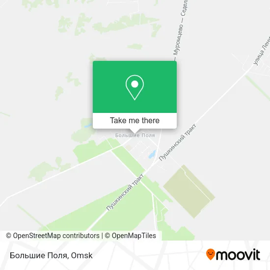 Большие Поля map