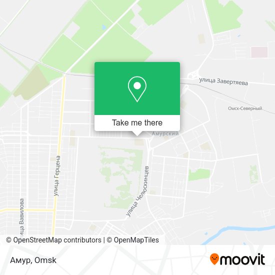 Амур map