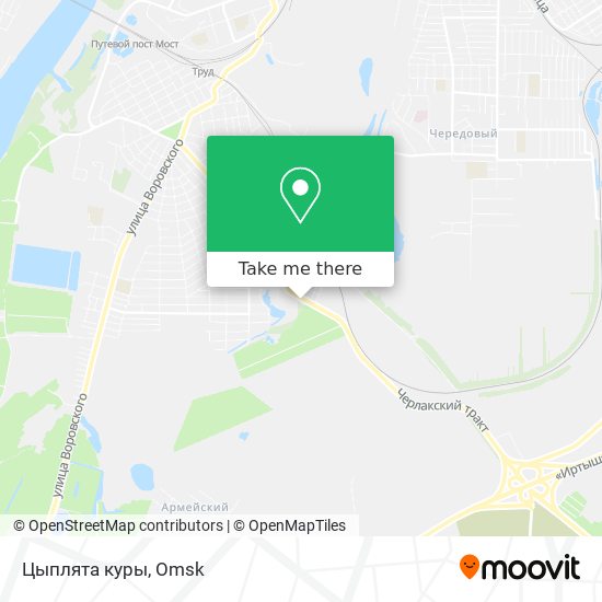 Цыплята куры map