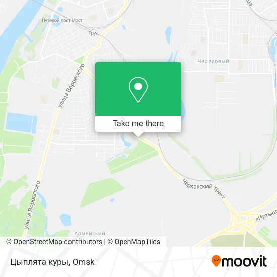 Цыплята куры map