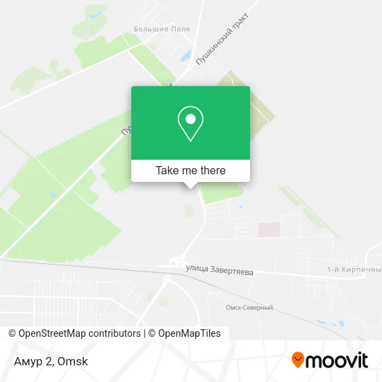 Амур 2 map