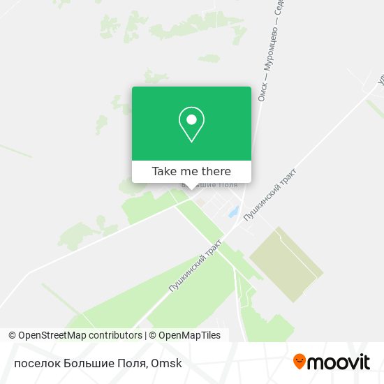 поселок Большие Поля map