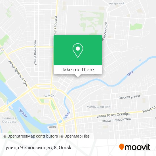 улица Челюскинцев, 8 map